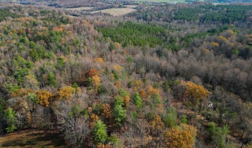 Photo #20 of SEVILLE RD, ROCHELLE, VA 3.0 acres