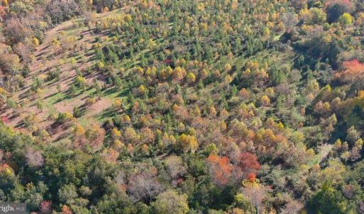 Photo #7 of OLD BARBOURSVILLE RD, GORDONSVILLE, VA 135.8 acres