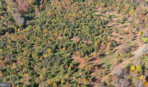 Photo #4 of OLD BARBOURSVILLE RD, GORDONSVILLE, VA 135.8 acres