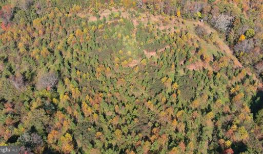 Photo #5 of OLD BARBOURSVILLE RD, GORDONSVILLE, VA 135.8 acres