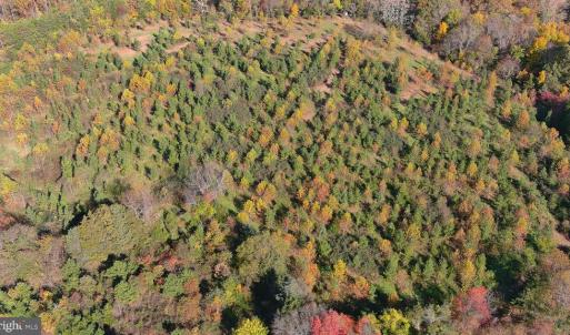 Photo #6 of OLD BARBOURSVILLE RD, GORDONSVILLE, VA 135.8 acres