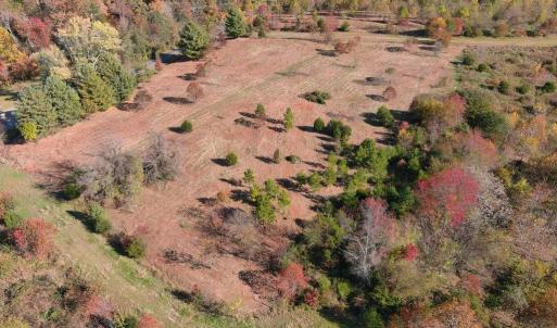 Photo #9 of OLD BARBOURSVILLE RD, GORDONSVILLE, VA 135.8 acres