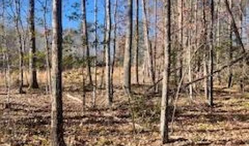 Photo #2 of VERMONT RD, RHOADESVILLE, VA 5.5 acres