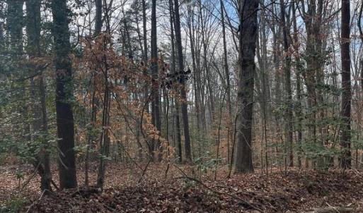 Photo #3 of 6317 LITTLE ACRES LN, WOODFORD, VA 5.5 acres