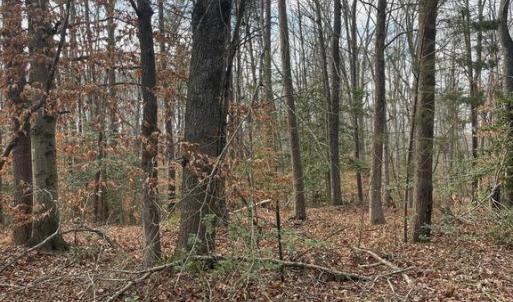 Photo #4 of 6317 LITTLE ACRES LN, WOODFORD, VA 5.5 acres