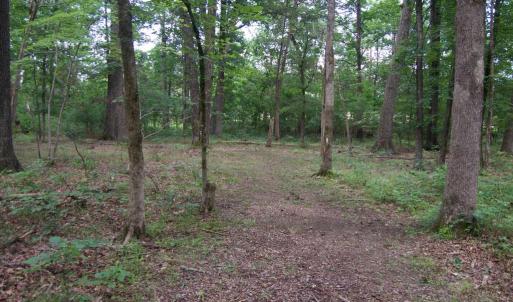 Photo #3 of ALGONQUIN TRL, CULPEPER, VA 3.4 acres