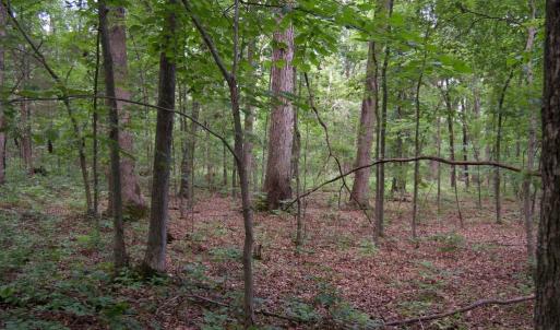Photo #6 of ALGONQUIN TRL, CULPEPER, VA 3.4 acres