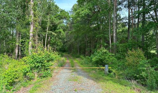 Photo #1 of HADEN MARTIN ROAD, PALMYRA, VA 137.7 acres