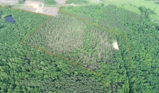 Photo #3 of HADEN MARTIN ROAD, PALMYRA, VA 137.7 acres