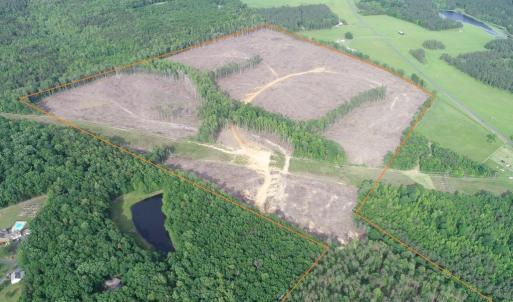 Photo #4 of HADEN MARTIN ROAD, PALMYRA, VA 137.7 acres