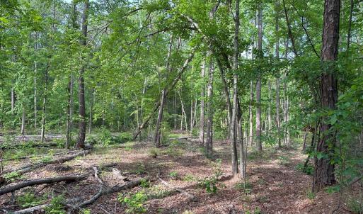 Photo #6 of HADEN MARTIN ROAD, PALMYRA, VA 137.7 acres
