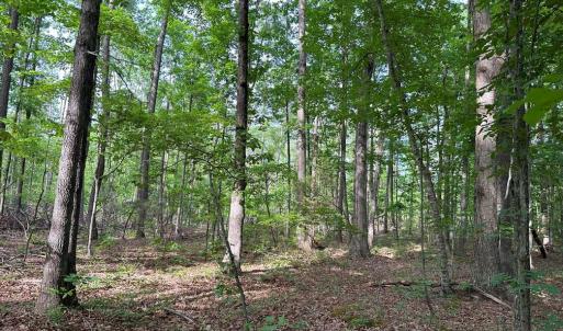Photo #8 of HADEN MARTIN ROAD, PALMYRA, VA 137.7 acres