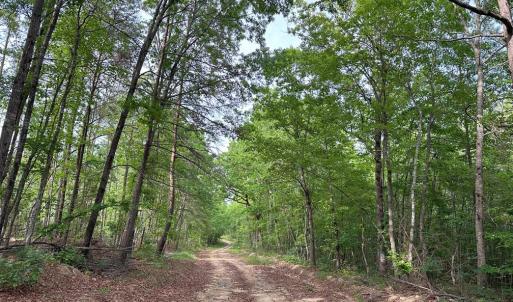 Photo #11 of HADEN MARTIN ROAD, PALMYRA, VA 137.7 acres