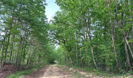 Photo #12 of HADEN MARTIN ROAD, PALMYRA, VA 137.7 acres