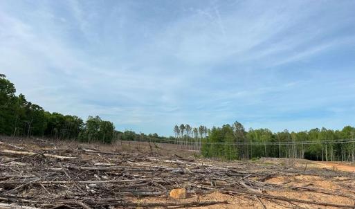 Photo #13 of HADEN MARTIN ROAD, PALMYRA, VA 137.7 acres