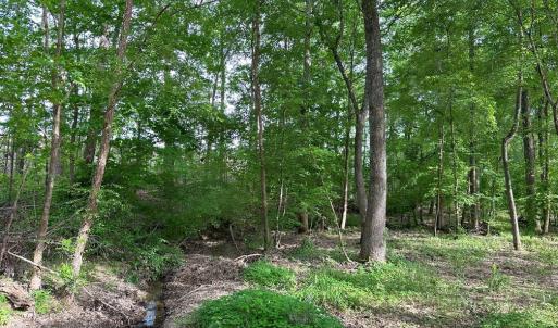Photo #15 of HADEN MARTIN ROAD, PALMYRA, VA 137.7 acres