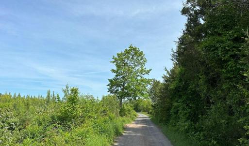 Photo #6 of WEST RIVER ROAD, SCOTTSVILLE, VA 249.0 acres