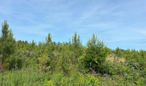 Photo #8 of WEST RIVER ROAD, SCOTTSVILLE, VA 249.0 acres