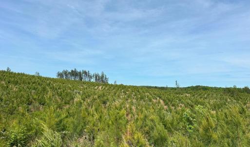 Photo #9 of WEST RIVER ROAD, SCOTTSVILLE, VA 249.0 acres