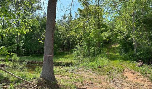 Photo #10 of WEST RIVER ROAD, SCOTTSVILLE, VA 249.0 acres