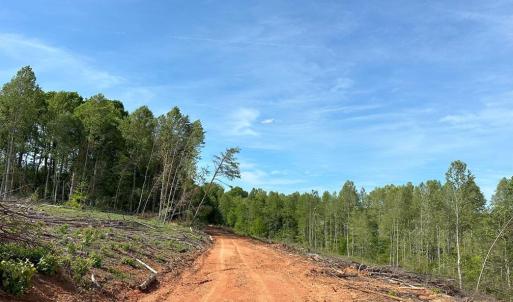 Photo #12 of WEST RIVER ROAD, SCOTTSVILLE, VA 249.0 acres