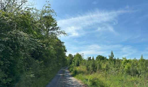 Photo #14 of WEST RIVER ROAD, SCOTTSVILLE, VA 249.0 acres