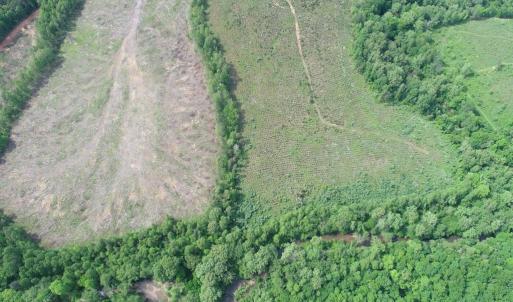 Photo #4 of WEST RIVER ROAD (TRACT: C.B. MOON), SCOTTSVILLE, VA 249.0 acres