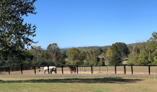 Photo #23 of 7351 LEIGH RD, WARRENTON, VA 18.0 acres