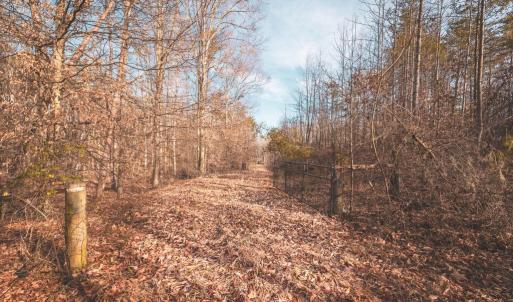 Photo #1 of COURTNEY SCHOOL ROAD, CATLETT, VA 196.0 acres