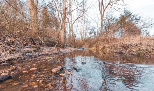 Photo #14 of COURTNEY SCHOOL ROAD, CATLETT, VA 196.0 acres