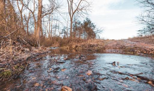 Photo #15 of COURTNEY SCHOOL ROAD, CATLETT, VA 196.0 acres