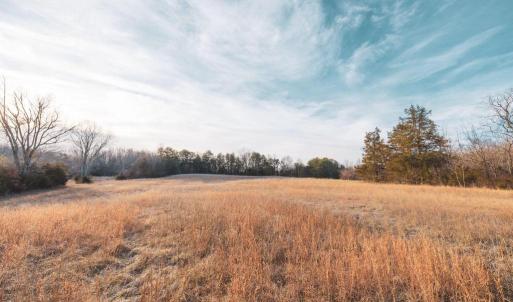 Photo #16 of COURTNEY SCHOOL ROAD, CATLETT, VA 196.0 acres