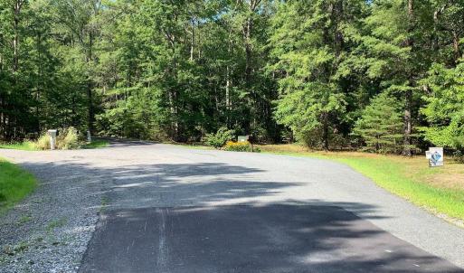 Photo #4 of 5517 WHELAN WAY, PARTLOW, VA 10.1 acres