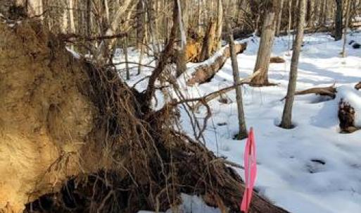 Photo #39 of CABIN BRANCH ROAD, MARSHALL, VA 3.0 acres