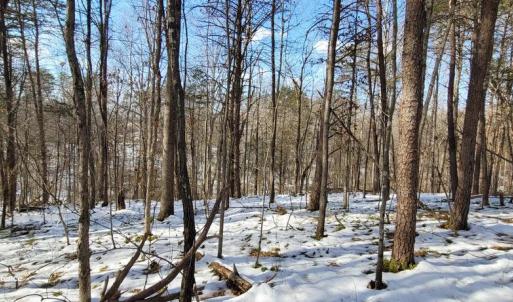 Photo #24 of CABIN BRANCH ROAD, MARSHALL, VA 3.0 acres