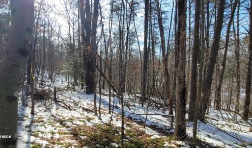 Photo #32 of CABIN BRANCH ROAD, MARSHALL, VA 3.0 acres
