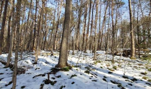 Photo #33 of CABIN BRANCH ROAD, MARSHALL, VA 3.0 acres
