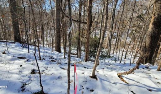 Photo #41 of CABIN BRANCH ROAD, MARSHALL, VA 3.0 acres