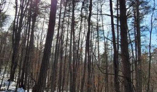 Photo #35 of CABIN BRANCH ROAD, MARSHALL, VA 3.0 acres