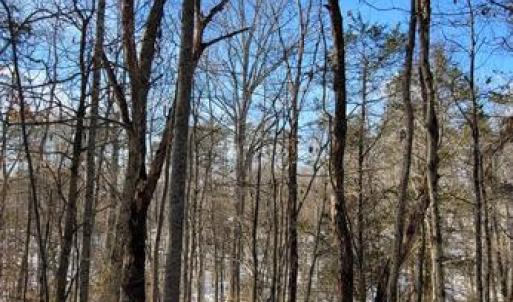 Photo #36 of CABIN BRANCH ROAD, MARSHALL, VA 3.0 acres