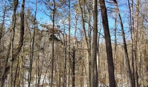 Photo #37 of CABIN BRANCH ROAD, MARSHALL, VA 3.0 acres