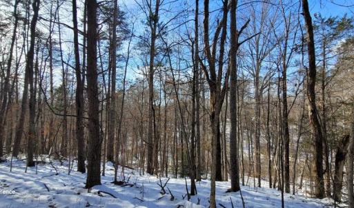 Photo #21 of CABIN BRANCH ROAD, MARSHALL, VA 3.0 acres