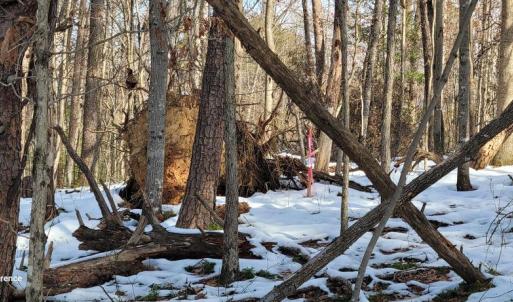 Photo #38 of CABIN BRANCH ROAD, MARSHALL, VA 3.0 acres