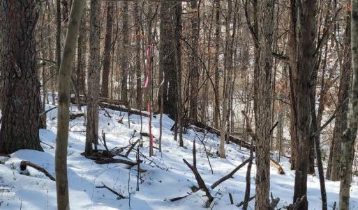Photo #40 of CABIN BRANCH ROAD, MARSHALL, VA 3.0 acres