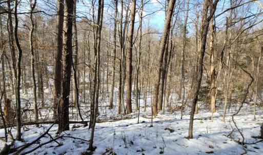 Photo #30 of CABIN BRANCH ROAD, MARSHALL, VA 3.0 acres