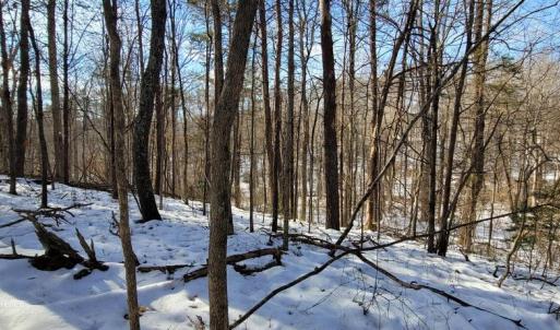 Photo #22 of CABIN BRANCH ROAD, MARSHALL, VA 3.0 acres