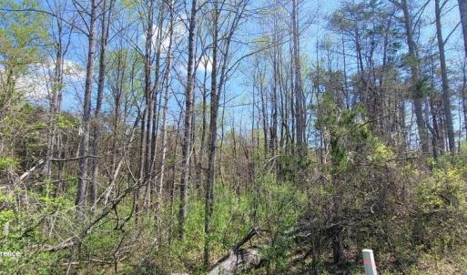 Photo #19 of CABIN BRANCH ROAD, MARSHALL, VA 3.0 acres