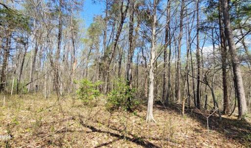 Photo #13 of CABIN BRANCH ROAD, MARSHALL, VA 3.0 acres