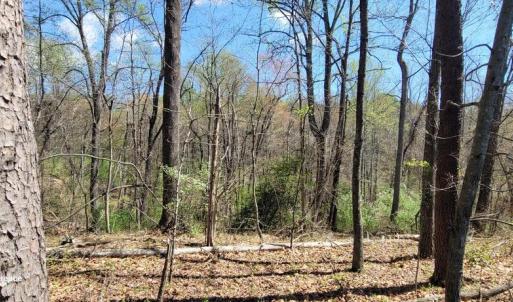 Photo #14 of CABIN BRANCH ROAD, MARSHALL, VA 3.0 acres