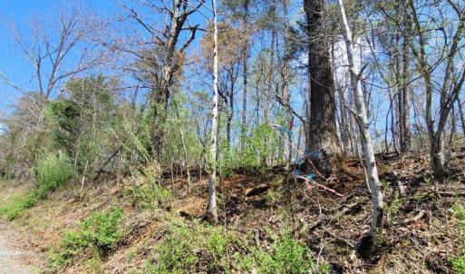 Photo #8 of CABIN BRANCH ROAD, MARSHALL, VA 3.0 acres